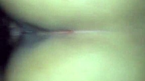 Lizbeth Morales Sucks Cock Like A Petite Latina Pro!