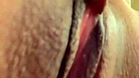 Ela Gritou Meu Nome Rosa Vermelha Lick Scream!