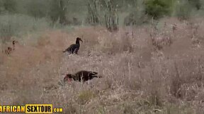 Horny African Teen Awahle Begs for Intense Pussy Pounding