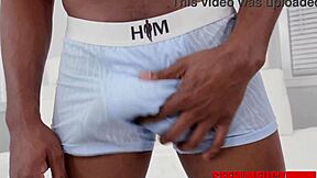 stanley long hung hunk devours mini stallion's curves in interracial frenzy?