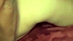 Brunette from Tampico gets pounded