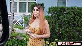 Huge Fake Tits Amateur Bang Bus Fuck