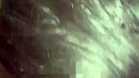 Amateur Cumshots Blast Young Faces and Hot Wives!