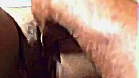 teddy bizzy slams spanish mami raw in trap house!