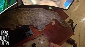 mi novia catches me stroking... jumps on for curvy latina cowgirl creampie ride