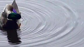 margo von teese skinny teen fucks bf after walk doggystyle cumshot