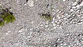 Lost in woods sexy Argentinian helps milk my cock outdoors tattooed