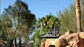 i flash tits fuck public with felicity feline slut compilation