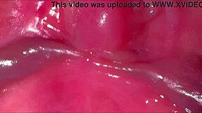 amateur shaved pussy close up 269 days post virginity loss