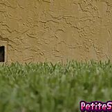 Brice Bardot kecil ambil kote besar untuk sesi kongkek sengit