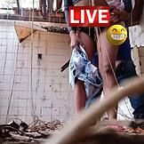 Apakah sepupuku bisa lakukan apa saja yang liar denganku di mansion?