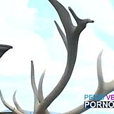 To heldige vandrere fandt lille luder og kneppede hende udendørs i hundestilling