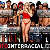 Latina berbucu terkejut dengan saiz BBC semasa blowjob interracial dan seks