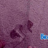 스텝시스터가 나 야동 보는 거 걸렸어