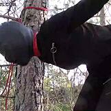 Ik ben vastgebonden aan een boom buiten in panty's en hakken voor ruw neuken!