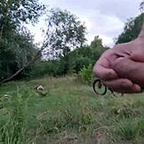 Mann zeigt und wichst im öffentlichen Wald nahe atemberaubendem Mädchen, das den Abschuss sehen will.