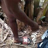 Filmes de sexo mais duro mergulham em ação intensa de boneca hentai