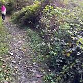 Sexo bruto na floresta com teen 18+ e tapas na buceta