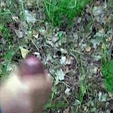 Imava seks v gozdu diskretno.