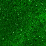 Vanvittig 18-årig pige tisser på offentlig strand i våde trusser