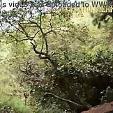 耶尼弗·查孔在森林里被士兵插入