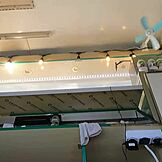 Hoikka kahdeksantoistavuotias 18+ kiusoittelee päärynästringeissä ilman rintaliivejä